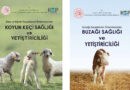 Buzağı, kuzu ve oğlak kayıplarının önlenmesi amacıyla Konya KOP Bölge Kalkınma İdaresi Başkanlığı tarafından yetiştiricilere yönelik el kitapları yayınlandı
