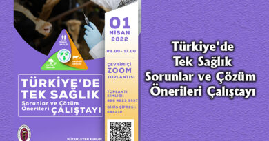 Türkiye’de Tek Sağlık Çalıştayı (Video Haber)