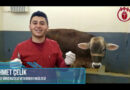 20 Nisan Dünya Hayvanları Aşılama Günü – TVHB Öğrenci Konseyi (Video Haber)