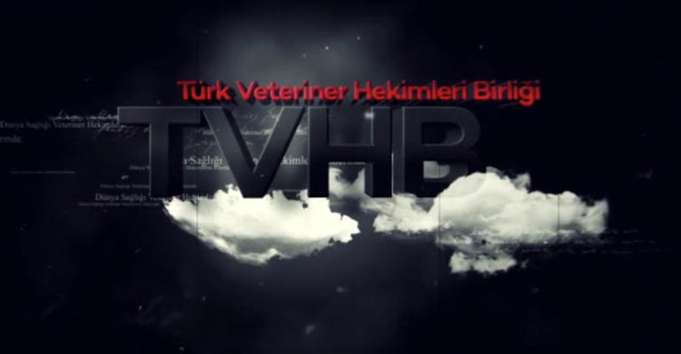 Türk Veteriner Hekimleri Birliği; “40 Bin Kocaman Yürekli Hekimiz”